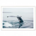 Whale At Sea Art Print