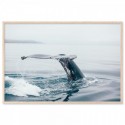 Whale At Sea Art Print