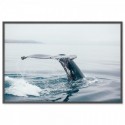 Whale At Sea Art Print