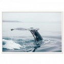 Whale At Sea Art Print