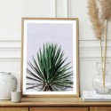 Yucca Art Print