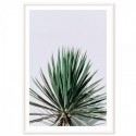 Yucca Art Print