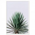 Yucca Art Print